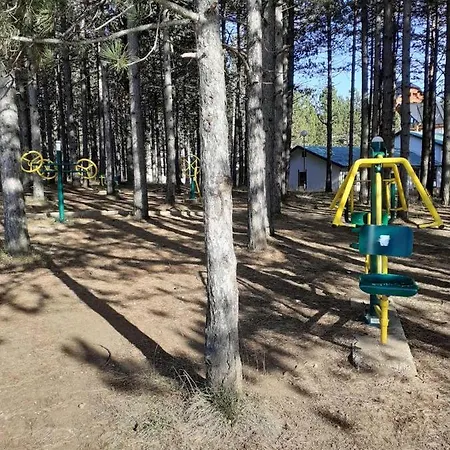 Apartman Zlatibor Apartamento Zlatibor