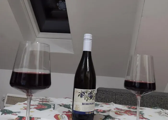 公寓 Apartman Zlatibor 兹拉蒂博尔