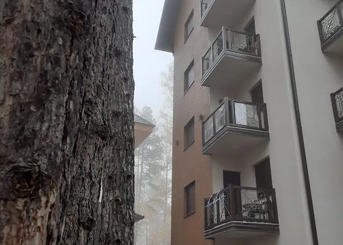 Apartman Zlatibor 公寓