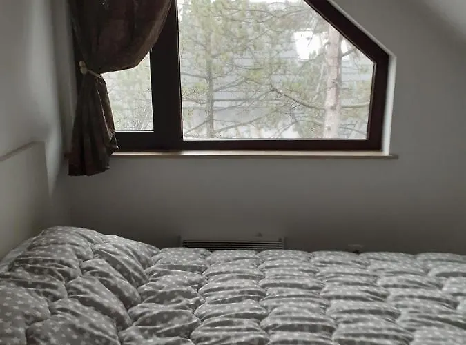 Apartman Zlatibor 公寓 兹拉蒂博尔